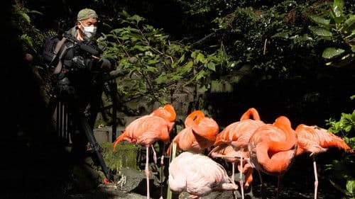 いいZooだね。～岩合光昭の動物園歩き～ Bild 3