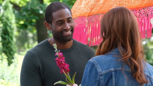 When Love Blooms Bild 7