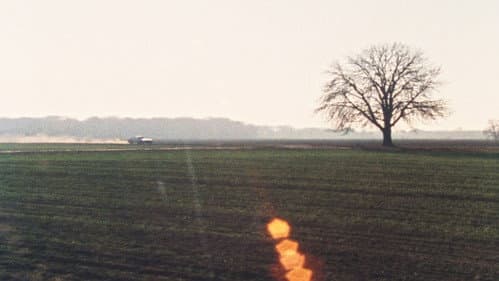 Lemminge Bild 1
