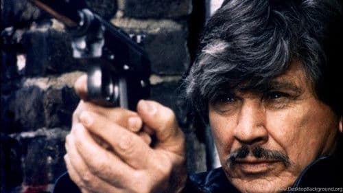 Charles Bronson - Hollywoods härtester Kerl Bild 3