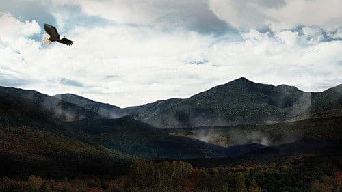 North Woods Law Bild 3