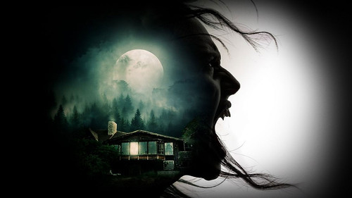 Night Terror - Der Tod wartet Bild 4