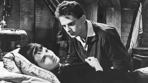 Romeo, Julie a tma Bild 2