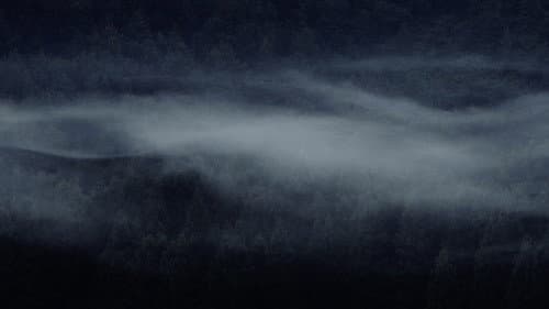 오버 데어 Bild 3