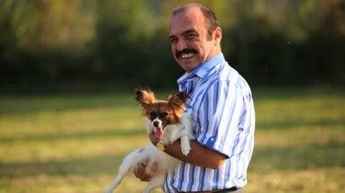 Marketing the Bazaar Bild 1