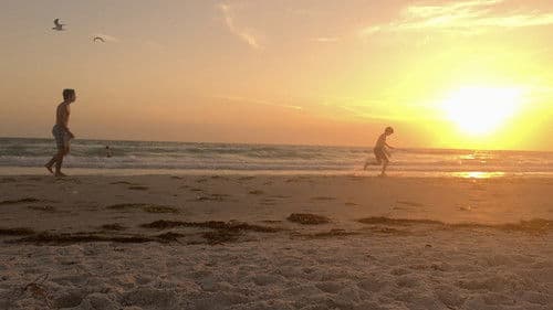 Late Night Essay Bild 2