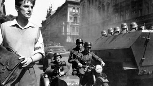 Romeo, Julie a tma Bild 4