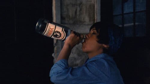 Girls for Rent Bild 2