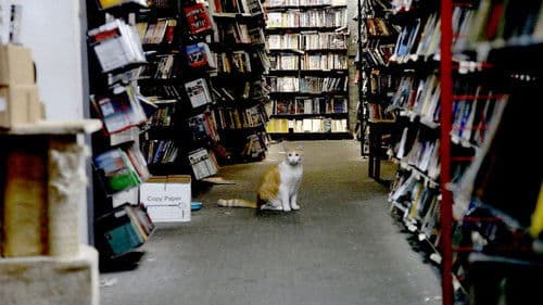 There Were Always Dogs, Never Kids Bild 1