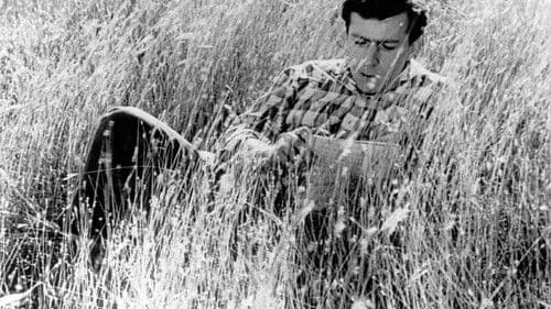 იყო შაშვი მგალობელი Bild 3