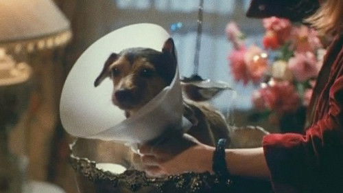 Every Dog Has Its Day Bild 1