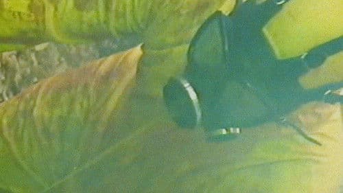 Bonkey: The Mutated Bild 4