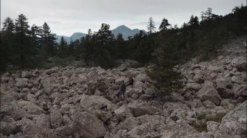 Un tipo strano Bild 2