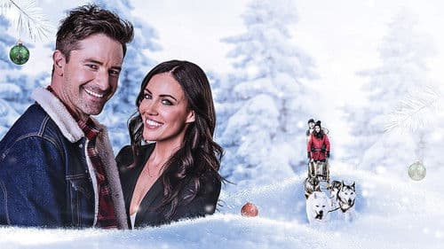 Eine Weihnachtsgeschichte aus dem Norden Bild 2