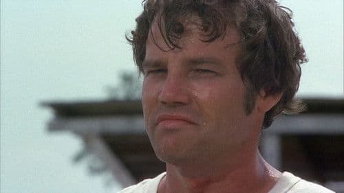 Der Große aus dem Dunkeln Bild 2