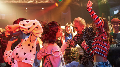 チワワちゃん Bild 1