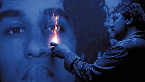 Peter von Kant Bild 1