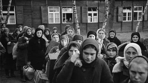 We Weren't The Only Ones Bild 1