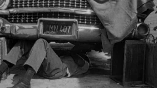 Several Friends Bild 2