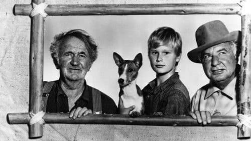 Good-bye, My Lady Bild 1