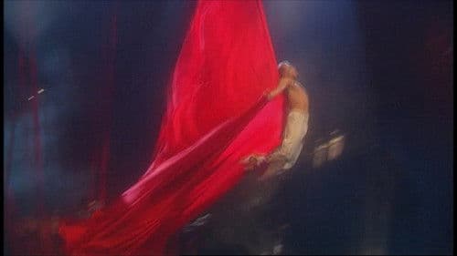 Cirque du Soleil: La Nouba Bild 3