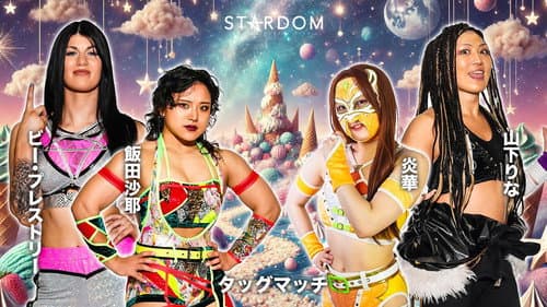 第15回 ゴッデス・オブ・スターダム ～タッグリーグ戦～ in SAPPORO Day1 Bild 3