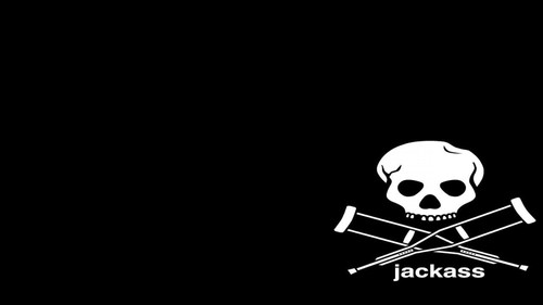 Jackass Volume One Bild 1