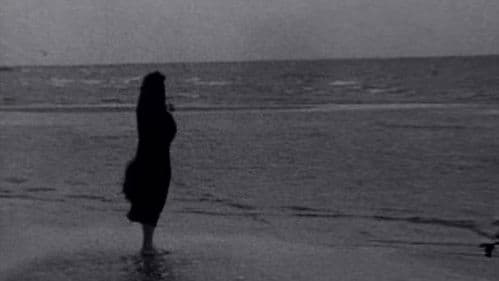 Odin's Shield Maiden Bild 2