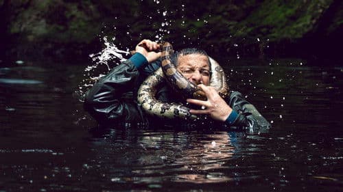 Du gegen die Wildnis – Der Film Bild 3