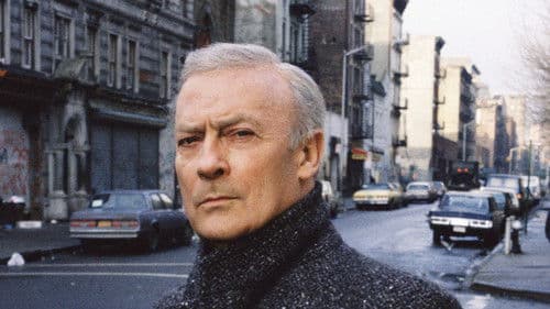 Der Equalizer Bild 2