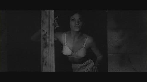 Der Fluch der Fliege Bild 1