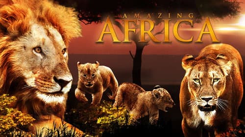 Faszination Afrika 3D Bild 3