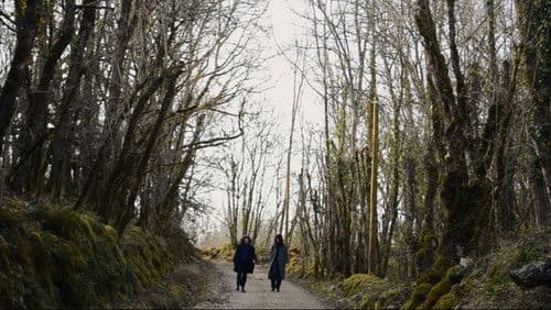 C'est pas sérieux Bild 2