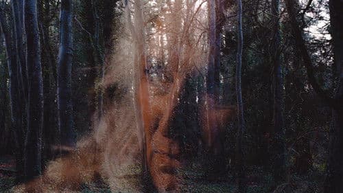 All You Need Is Death Bild 3