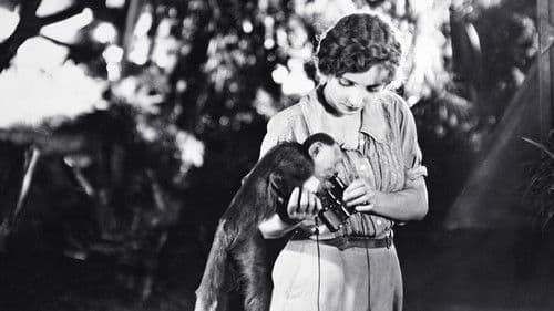 Die verlorene Welt Bild 3