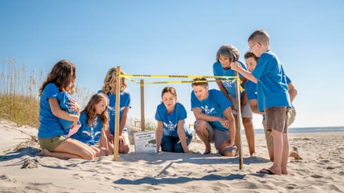 The Beach House Bild 8