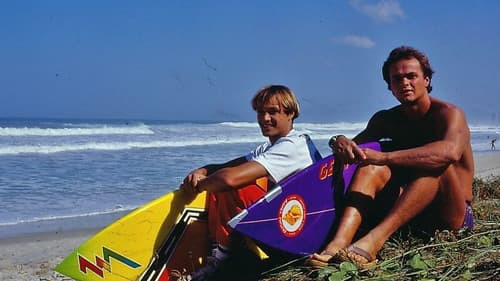 Armação Ilimitada Bild 3