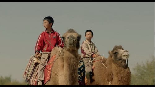 家在水草丰茂的地方 Bild 1