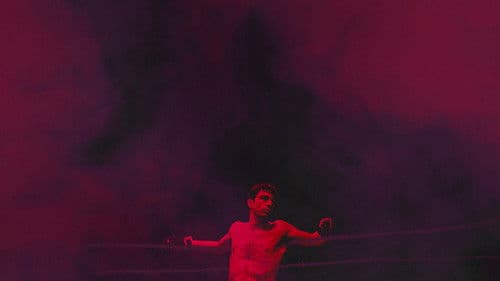 Wie ein wilder Stier Bild 8