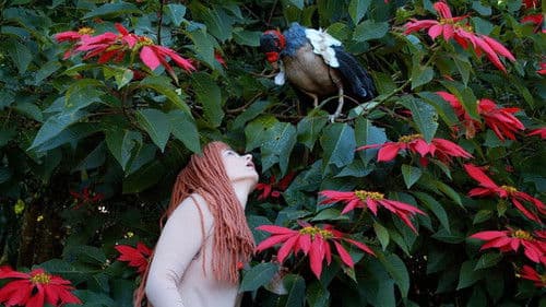 Die Tagebücher von Adam und Eva Bild 1