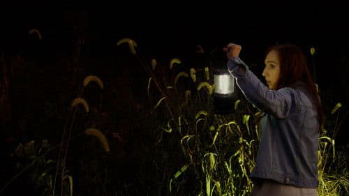 A Stranger On Earth Bild 1