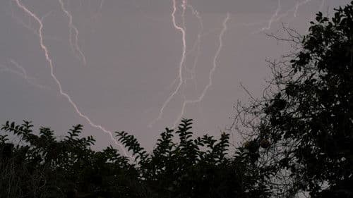 Hogar una jaula Bild 1