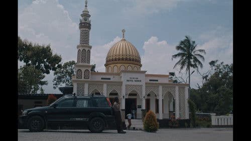 A Cat Can Look at a King Bild 1