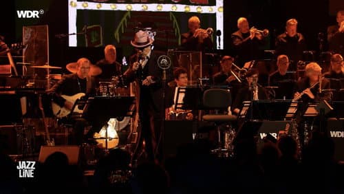Elvis Costello meets WDR Bigband · Leverkusener Jazztage 2025 Bild 1