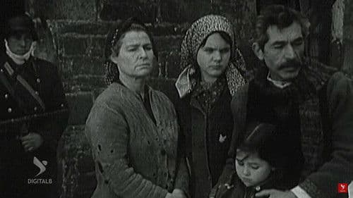 Dollia e dasmës sime Bild 1