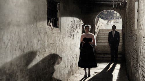 Traum meines Lebens Bild 1