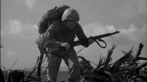 Stoßtrupp Saipan Bild 7