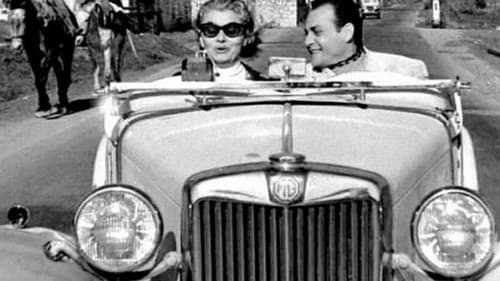 Ούτε γάτα, ούτε ζημιά Bild 5