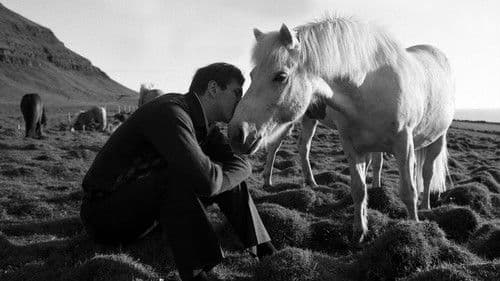 Zug um Zug in den Wahnsinn Bild 1