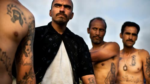 Narco Cultura Bild 1